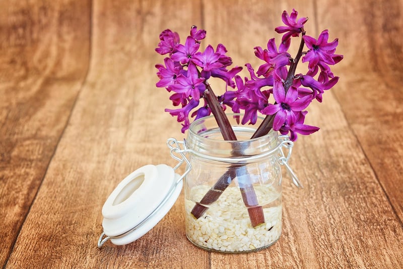 Wildflowers